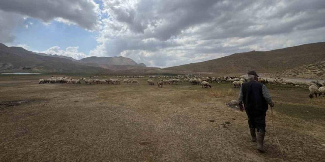 Mayıs ayında sürüyle çıktılar, şimdi rotalarını ters yöne çevirdiler! Yörüklerin dönüş hikayesi başladı: Kış resmen geldi 5